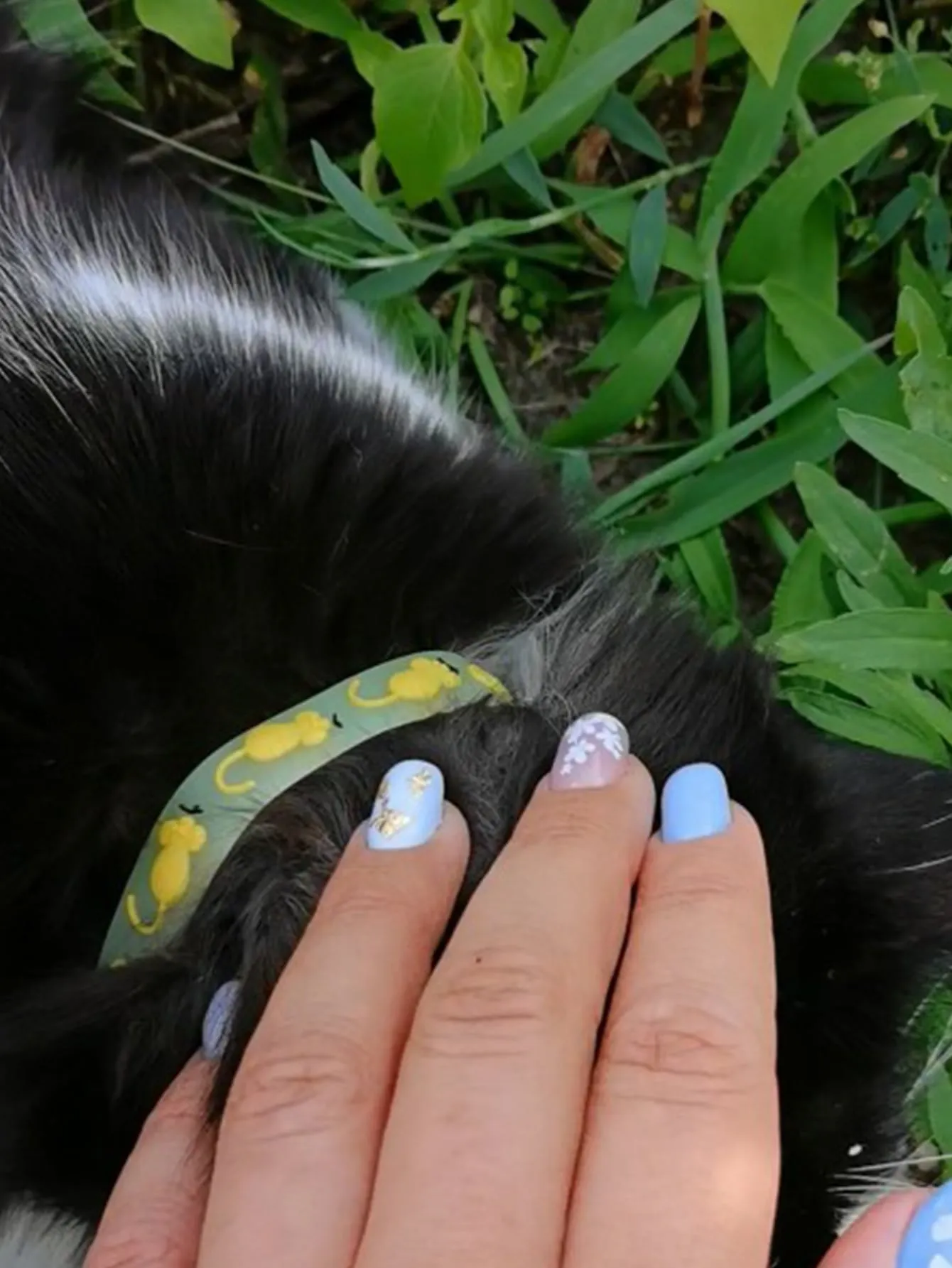 1pc Random Pattern Pet Glow Collar
