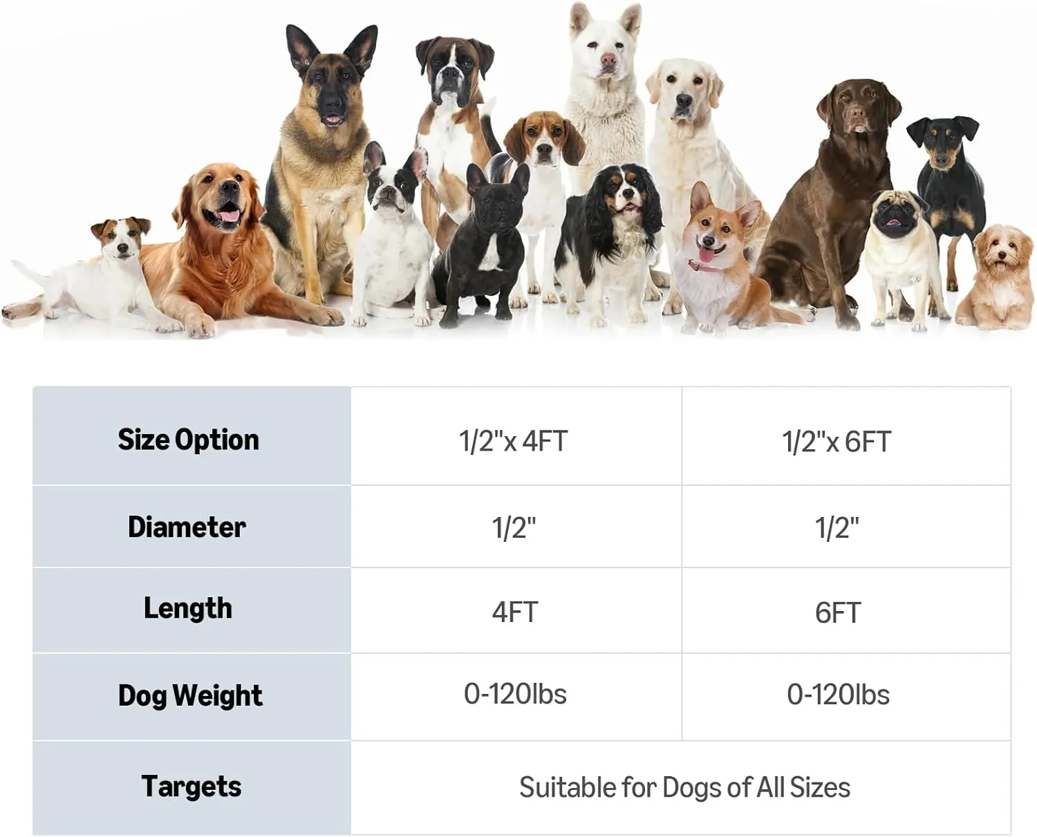 Amazon Basics Round Dog Leash, Heavy Duty, Durable Rope for Small, Medium, and Large Dogs, Lightweight Design for Walking, Training, and Outdoor Activities, Blue, 4 Ft