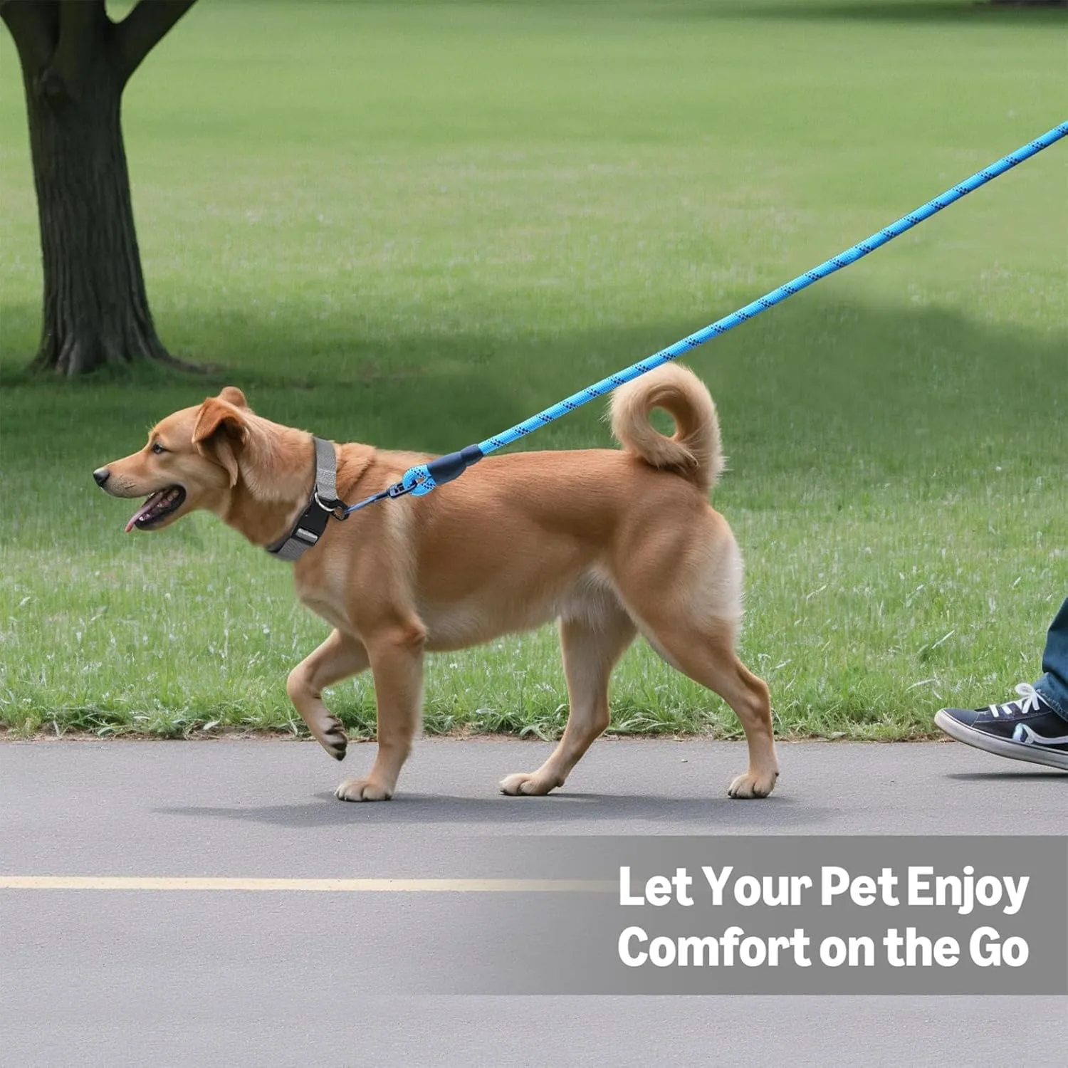 Amazon Basics Round Dog Leash, Heavy Duty, Durable Rope for Small, Medium, and Large Dogs, Lightweight Design for Walking, Training, and Outdoor Activities, Blue, 4 Ft