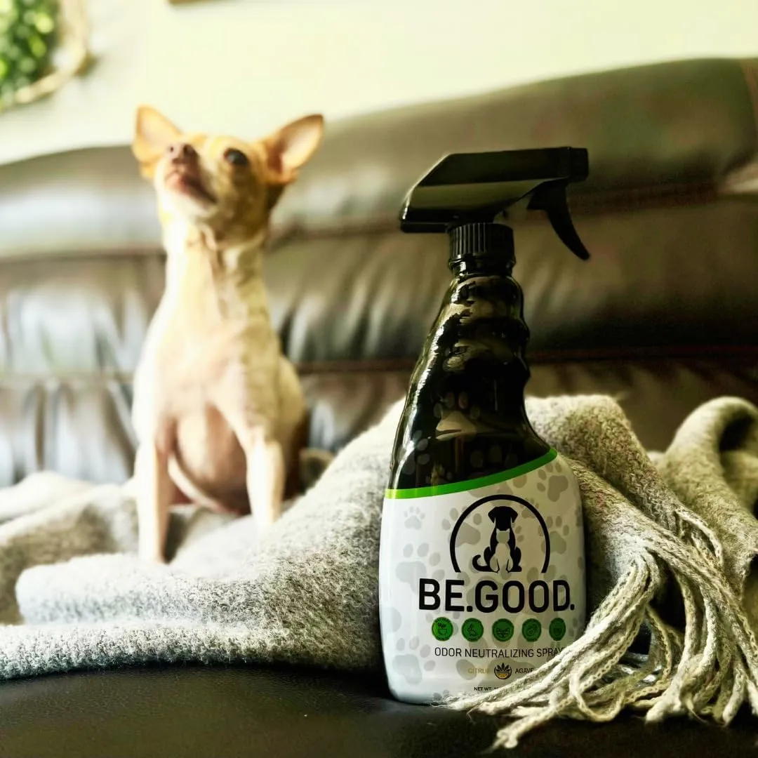 BE.GOOD. Pet Odor Eliminator, 16oz Spray, Woodland Essence - Pet Odor Eliminator for Home - Dog Urine Odor Eliminator - Pet Odor Remover, White