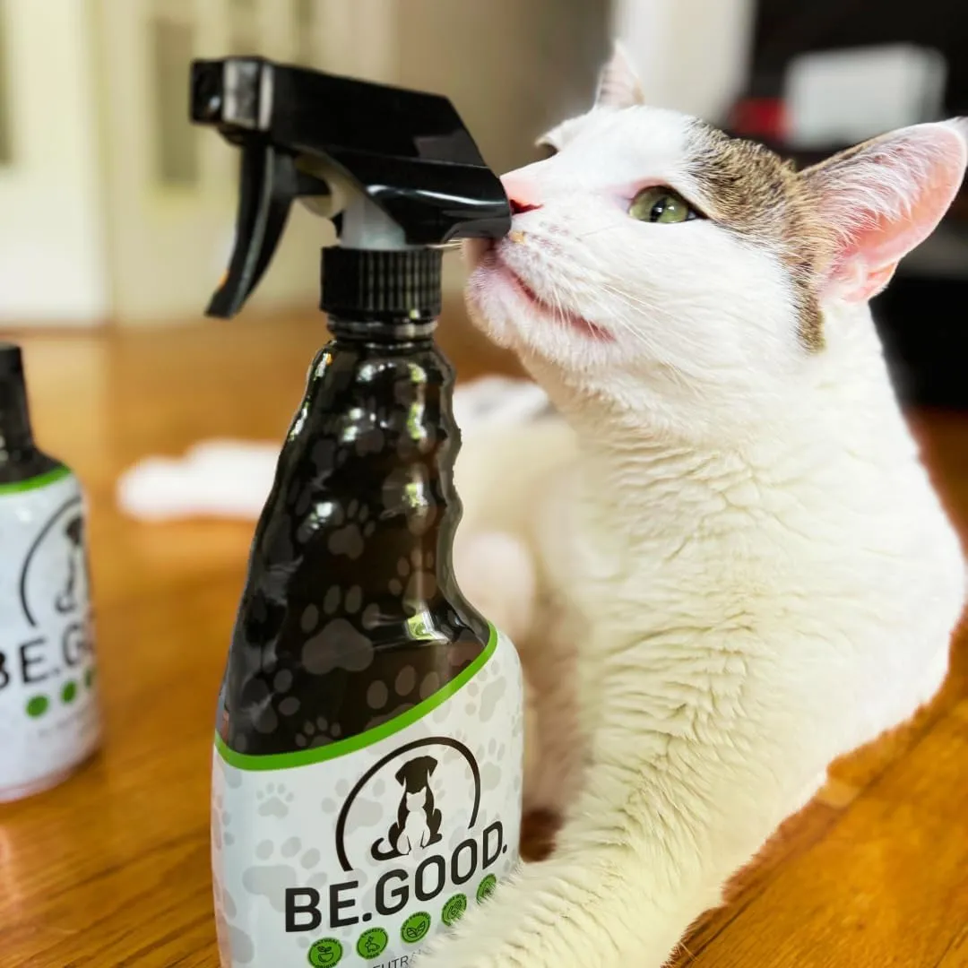 BE.GOOD. Pet Odor Eliminator, 16oz Spray, Woodland Essence - Pet Odor Eliminator for Home - Dog Urine Odor Eliminator - Pet Odor Remover, White
