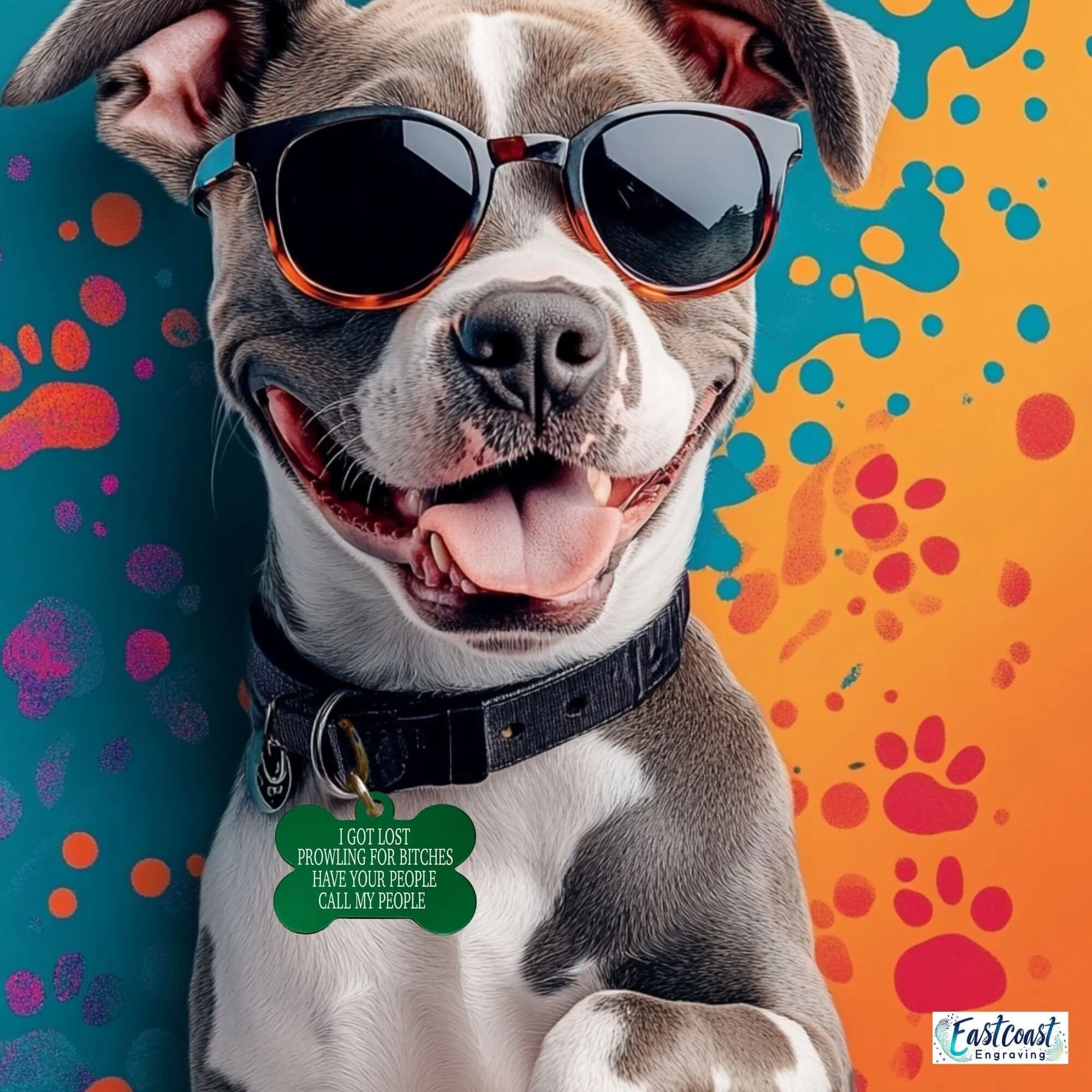 Best Funny Pet Tags – Custom Engraved Dog Name Tags