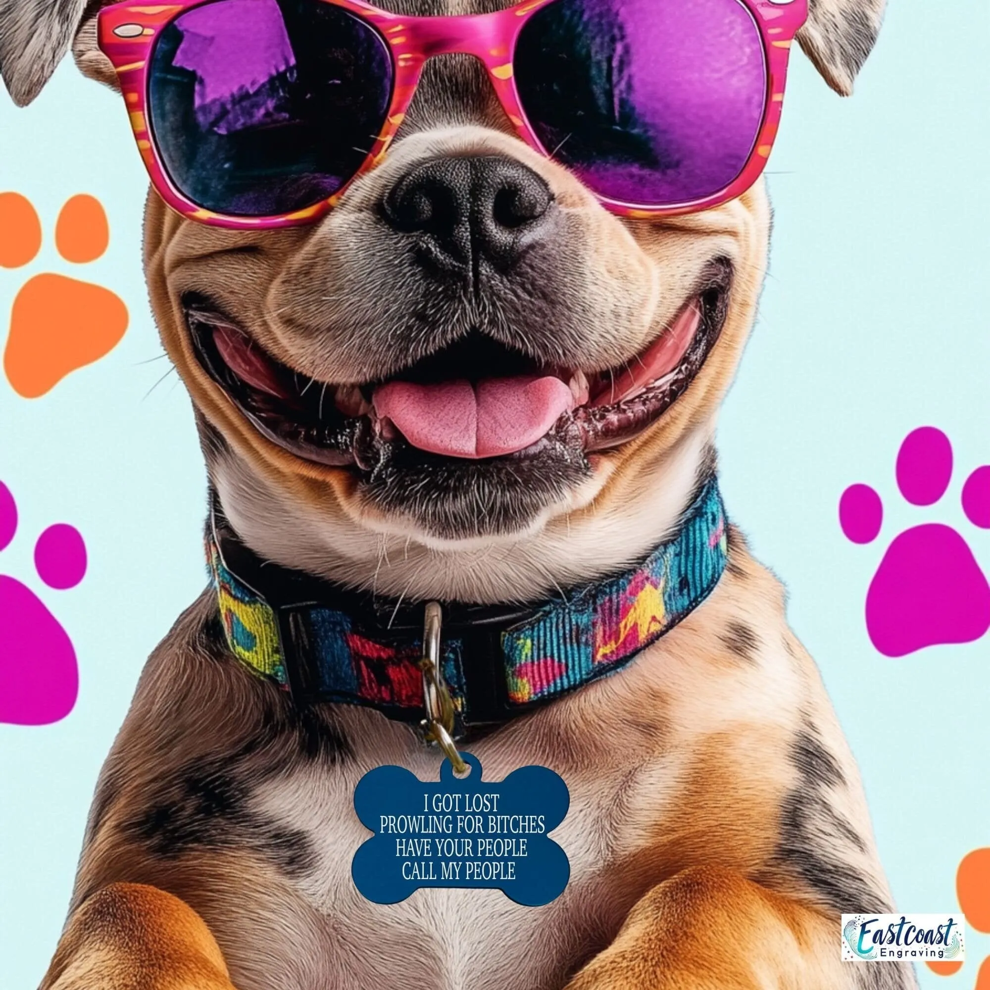 Best Funny Pet Tags – Custom Engraved Dog Name Tags