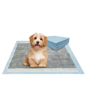 BV Pet Potty Training Pads - 22" x 22", 100-Count - Charcoal