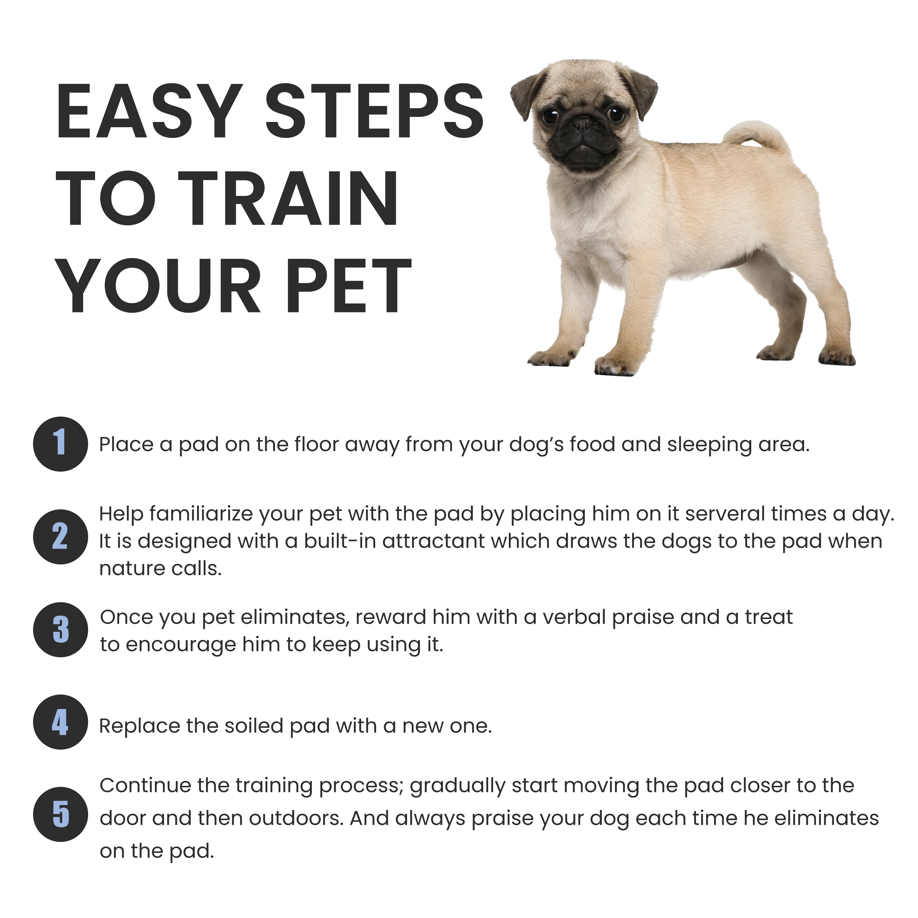 BV Pet Potty Training Pads - 22" x 22", 100-Count - Charcoal