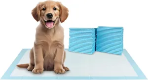 BV Pet Training Pads for Dogs and Puppies, 30" x 36" Training Pad, 40-Count Dog Pee Pad, Disposable Puppy Pads, Doggie Potty Pads, XXL Dog Pads for Cat, Rabbit, Guinea Pig, Quick Absorb
