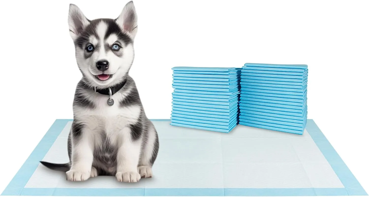 BV Pet Training Pads for Dogs and Puppies, 30" x 36" Training Pad, 40-Count Dog Pee Pad, Disposable Puppy Pads, Doggie Potty Pads, XXL Dog Pads for Cat, Rabbit, Guinea Pig, Quick Absorb
