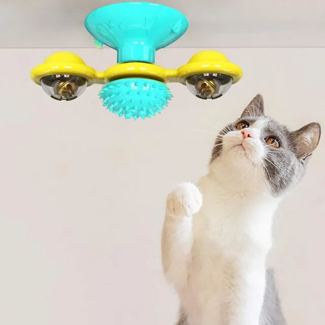 Cat Toy
