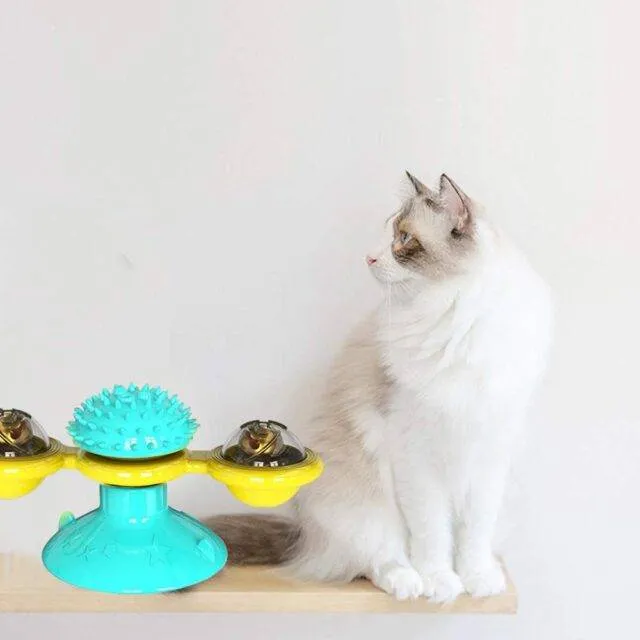 Cat Toy