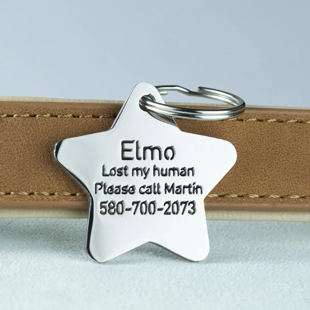 Cute StarDog ID Tag