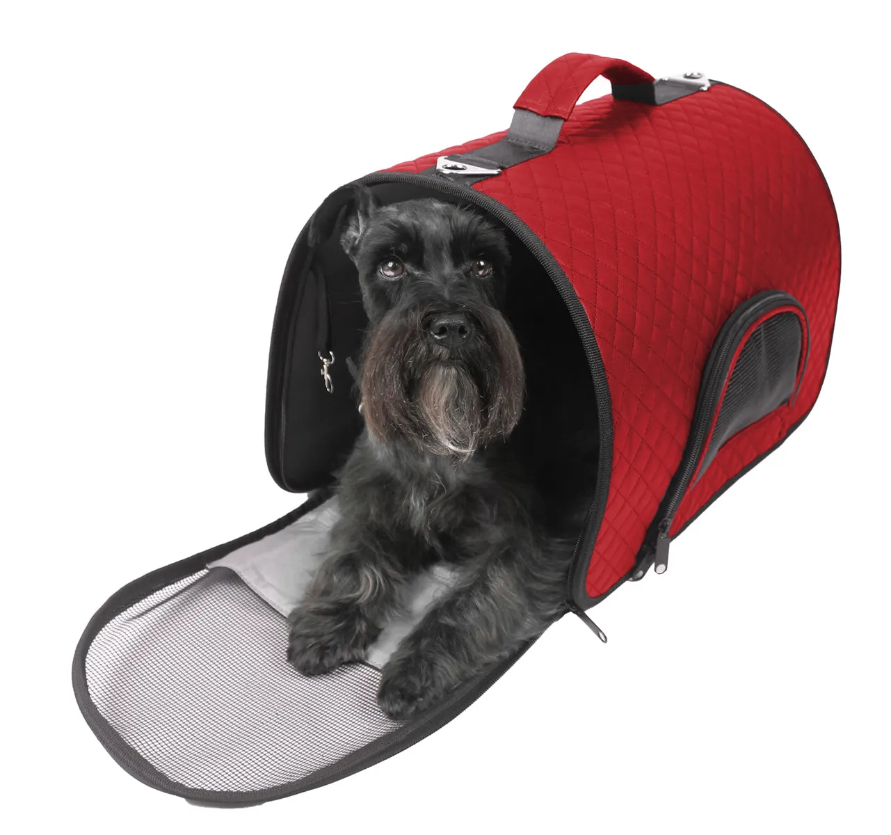 Designer Pet Carrier