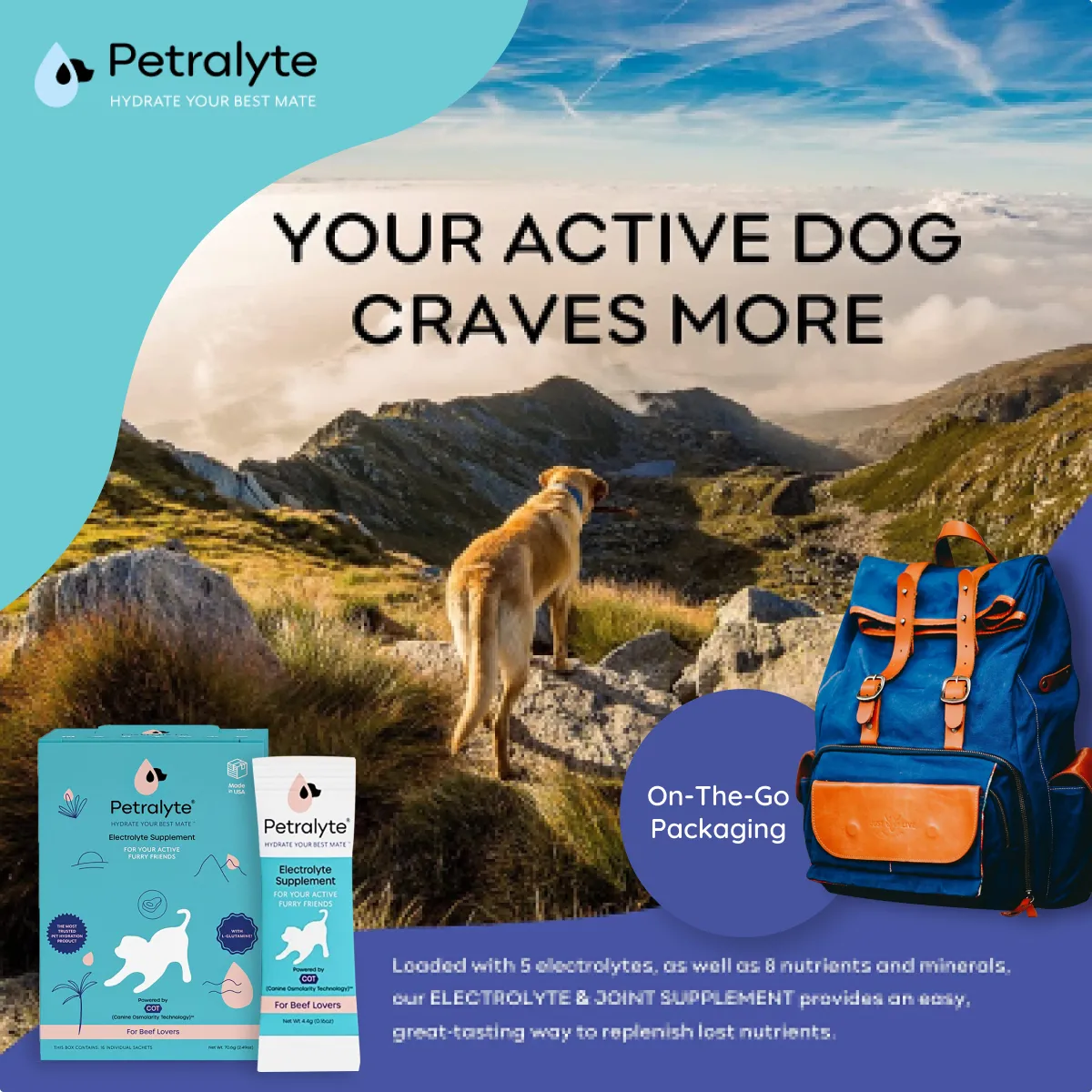 Dog Electrolyte and Joint Supplement | Beef Lovers