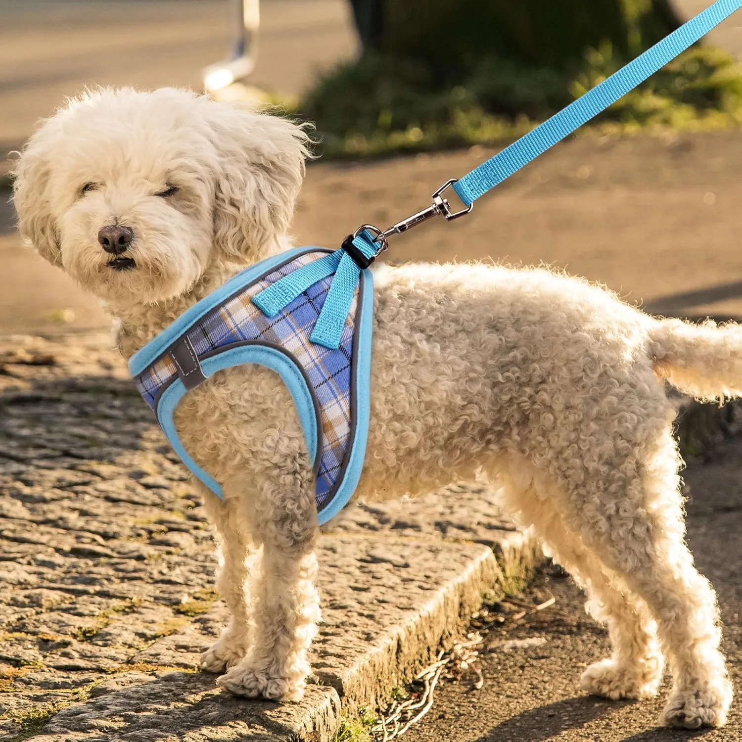 Dog Harness for Small Dogs,Small Dog Harness Puppy Harness Breathable Mesh Reflective Adjustable Safety Buckle XS Dog Harness Puppy Harness and Leash Set(Blue&XS)