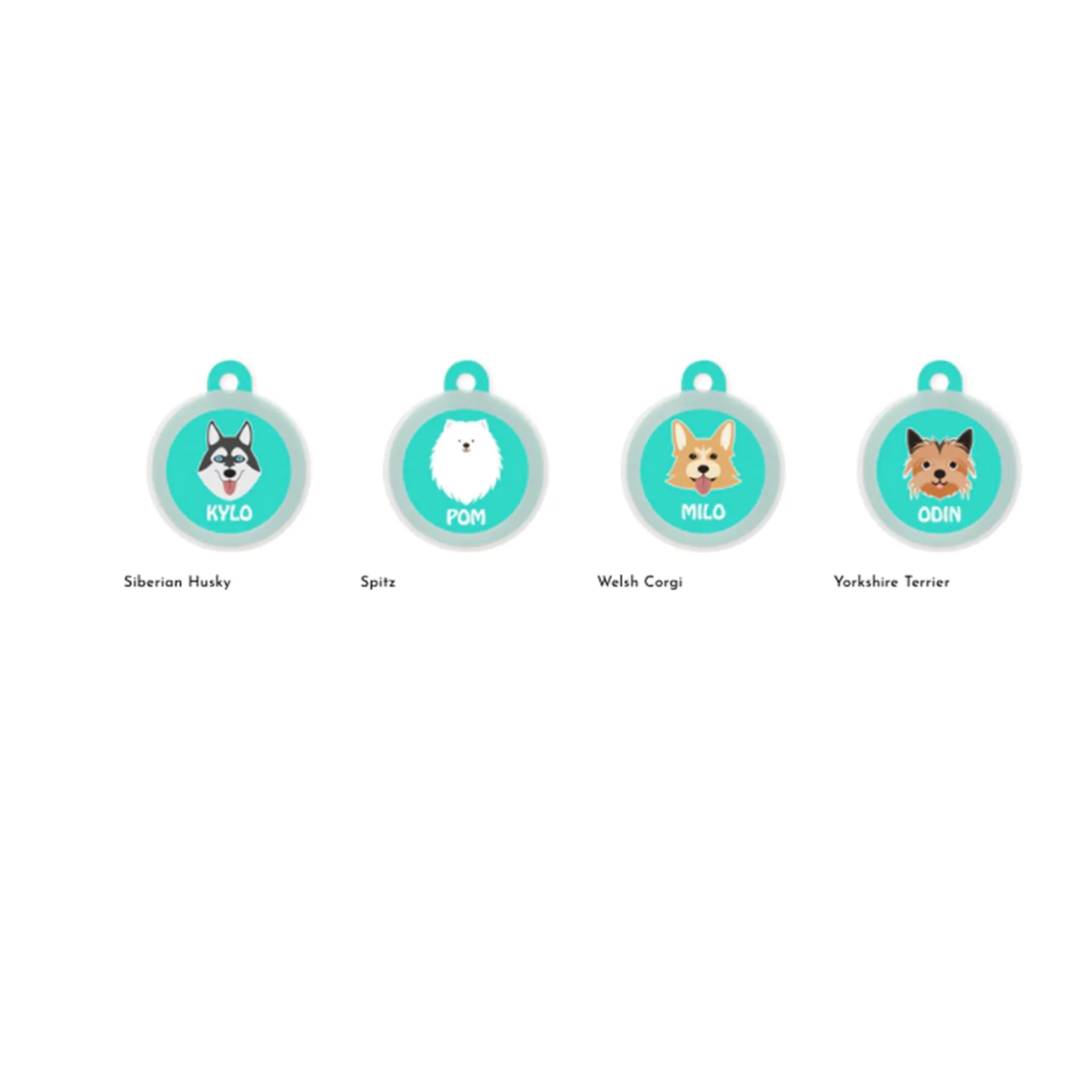 Dog Pet ID Tags