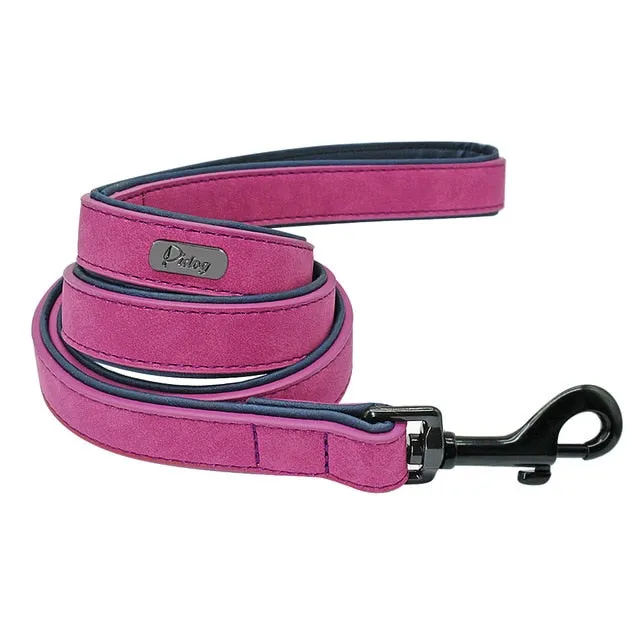 Dog Walking Training Rope Belt For Small Medium Large Dogs