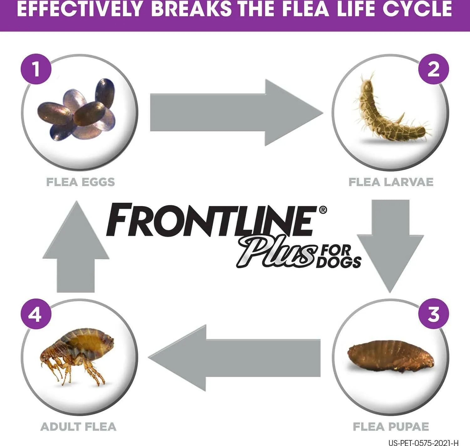 Frontline Plus for Large Dogs (45-88 lbs) Purple Box