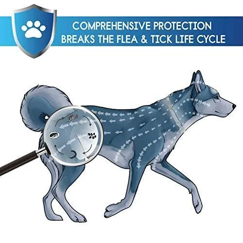 GROTAUS Flea and Tick Collar for Dogs - Safe and Effective Flea and Tick Control Collar for All Dog Sizes - Waterproof, Adjustable and Natural Flea Collar with 12 Months Flea and Tick Prevention