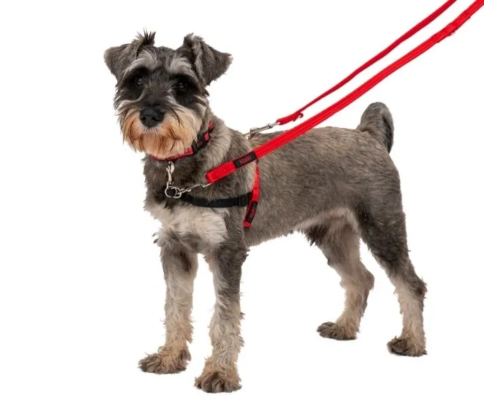 Halti Training Dog Lead (2 sizes/ 2 colours)