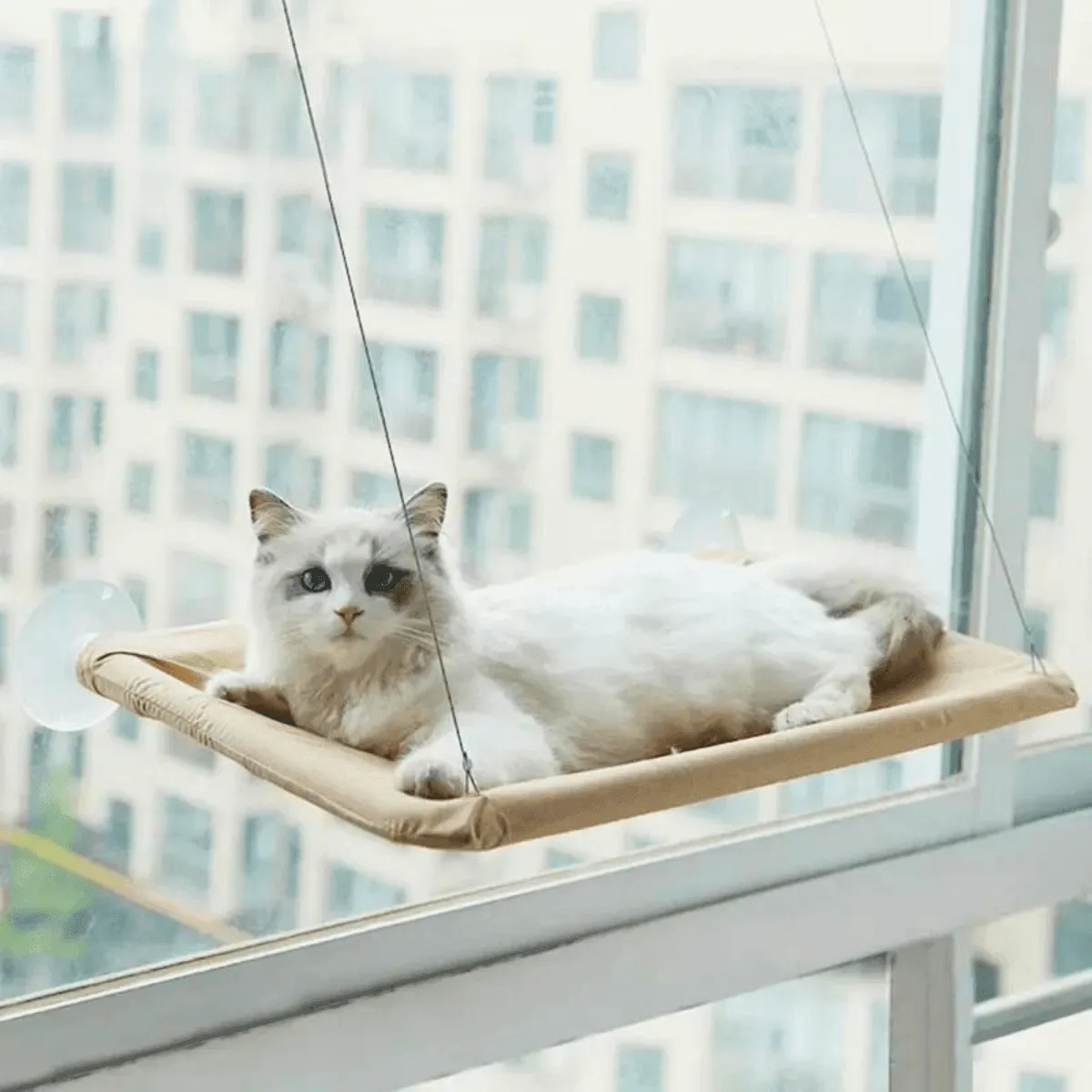 Hanging Cat Hammock, Durable Oxford Fabric, Easy to Clean, Breathable, 40lbs Capacity, Simple Installation with Suction Cups