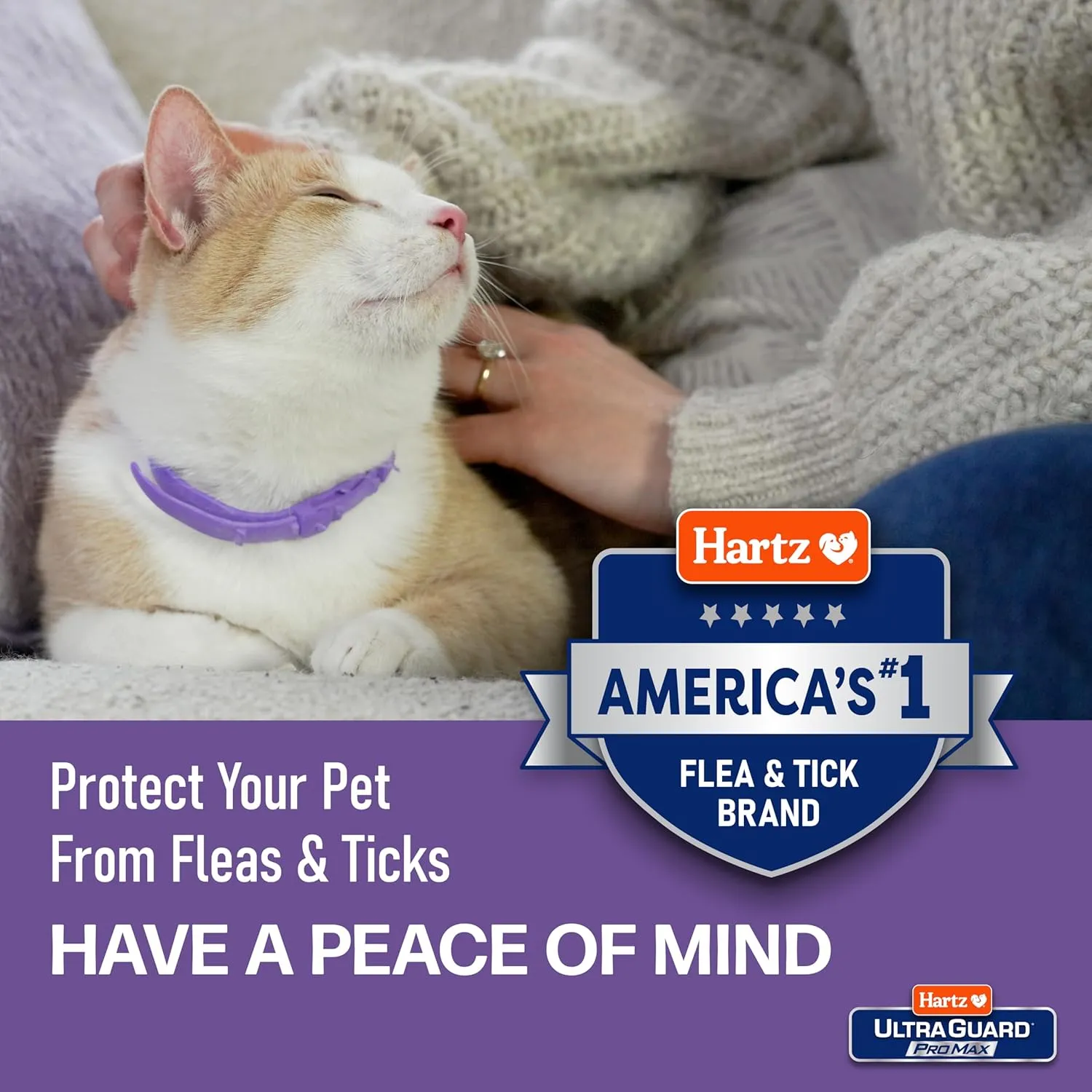 Hartz UltraGuard ProMax Flea & Tick Collar for Cats I 14 Months Protection I Soft & Comfortable | Flea & Tick Prevention I 2 Pack