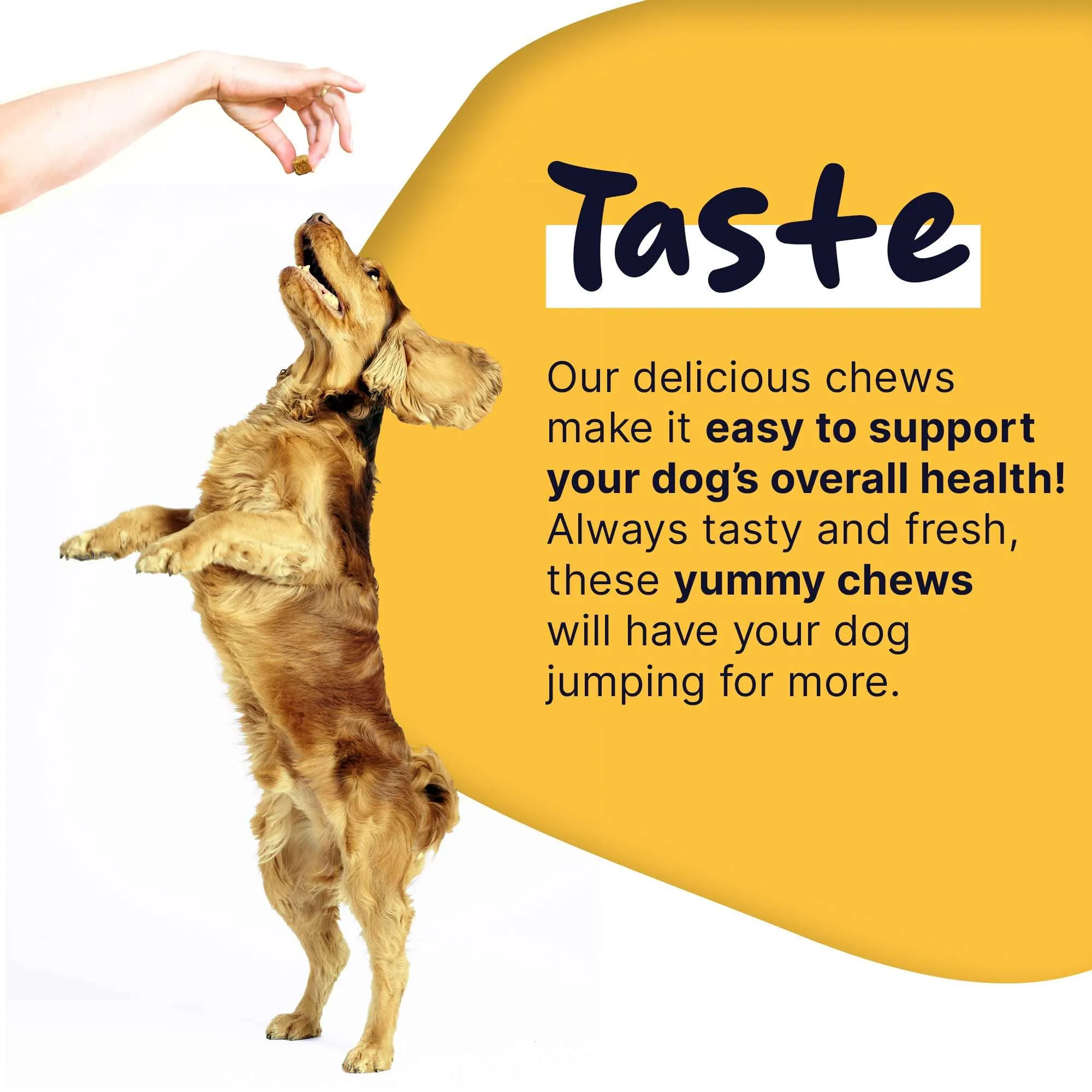Healthy Pup Multi Max All-In-One Dog Multivitamin - 120 count