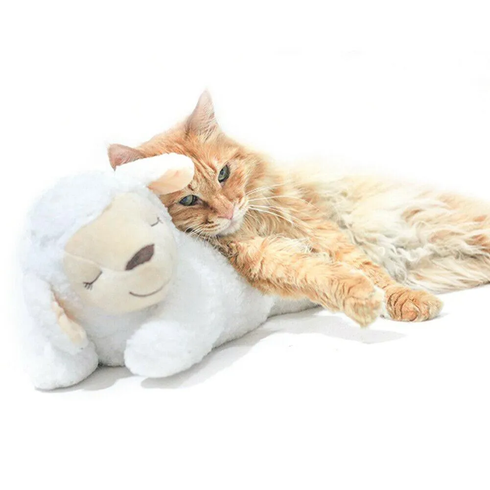 Heartbeat Buddy for Pets