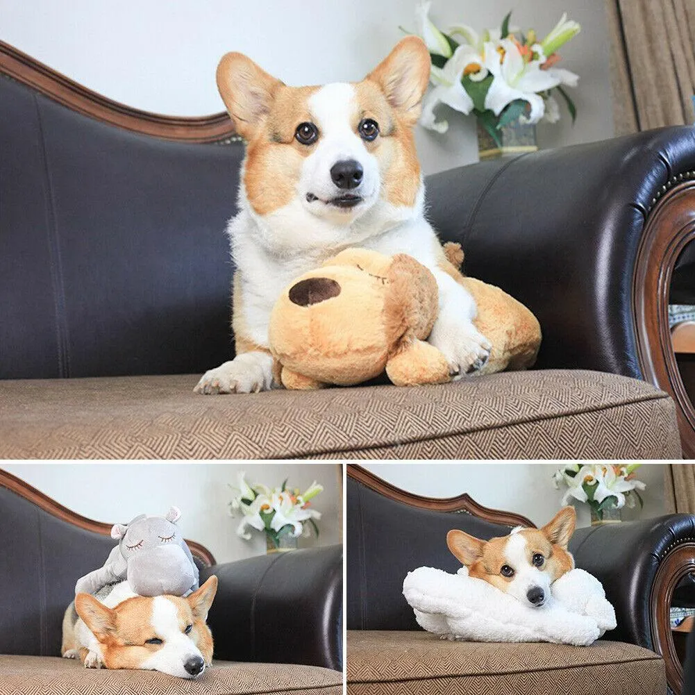 Heartbeat Buddy for Pets