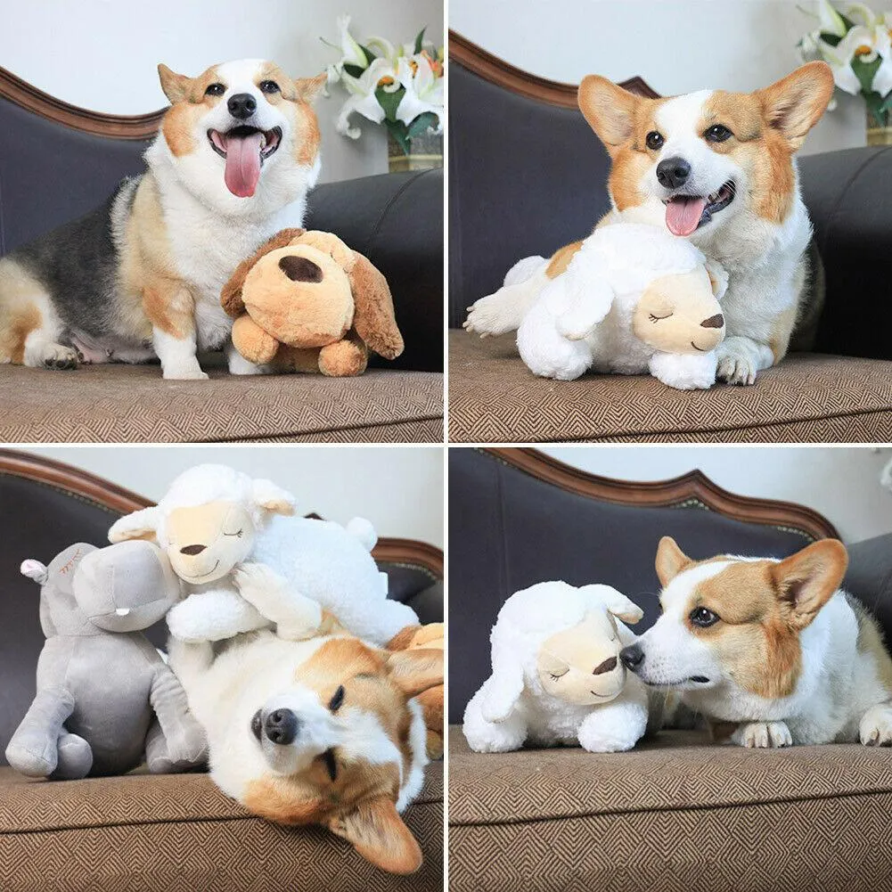 Heartbeat Buddy for Pets