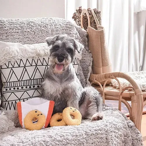 Hugsmart Pet Food Party Onion Ring Interactive Dog Toy
