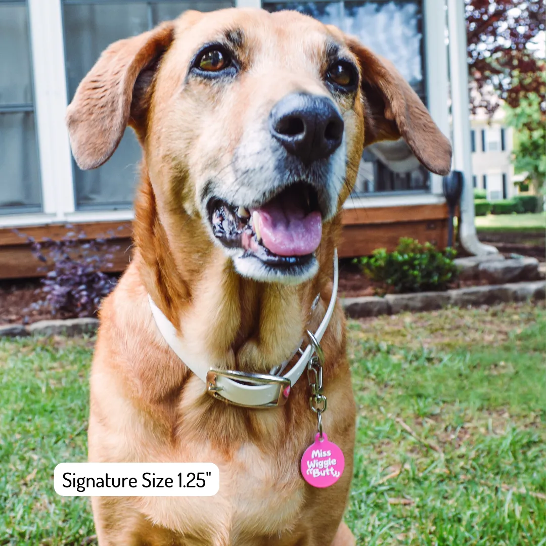 I feel Bonita Spanish Funny Dog Tag