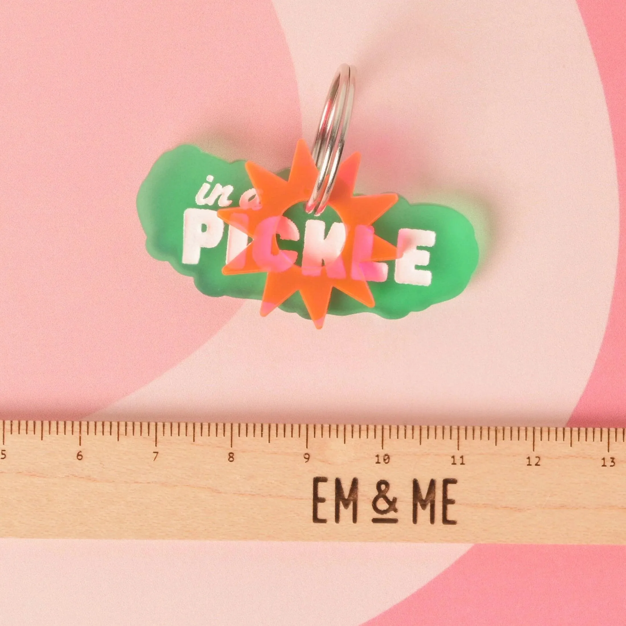 In a Pickle, Pickle Personalized Pet Tag