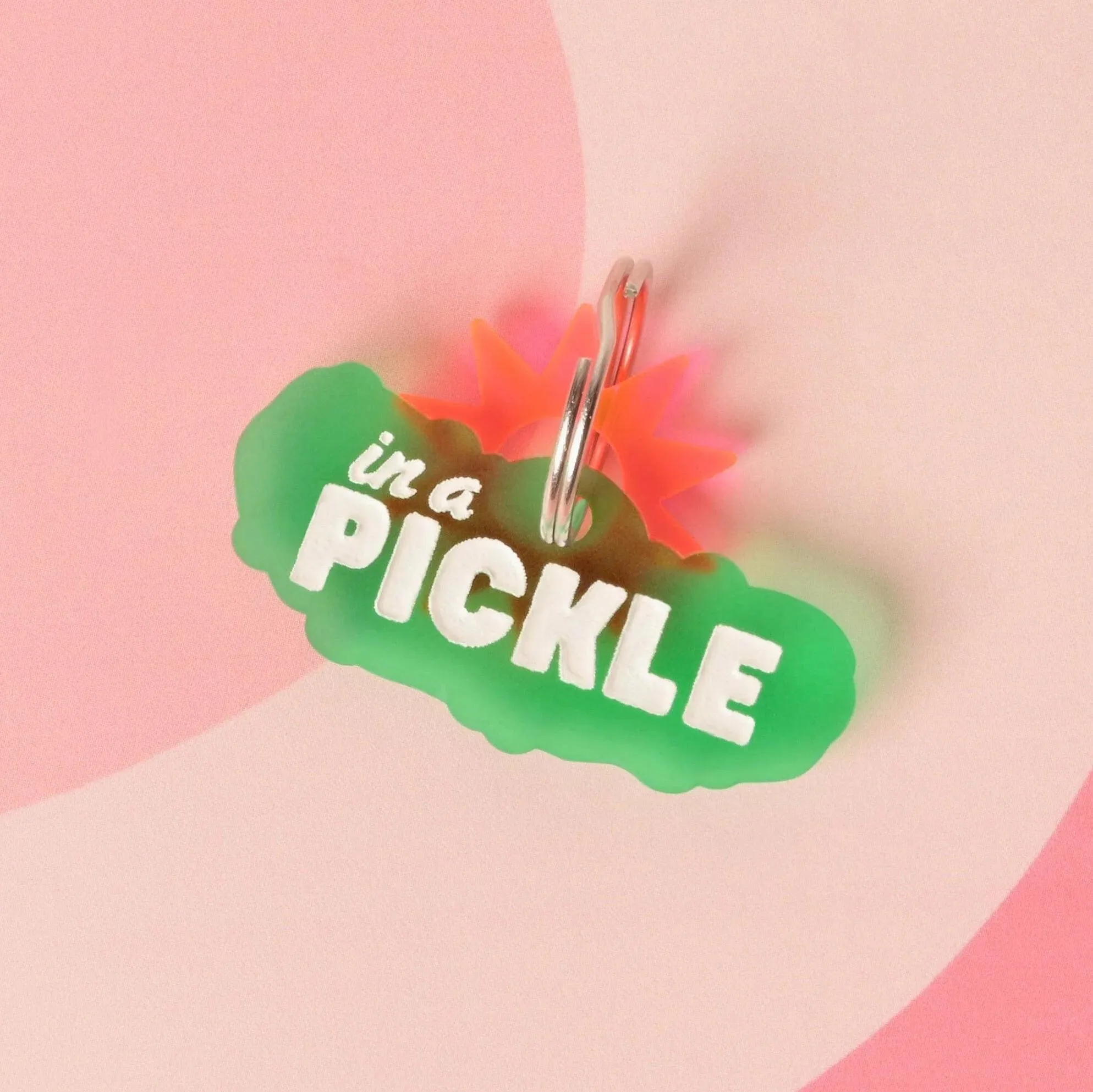 In a Pickle, Pickle Personalized Pet Tag