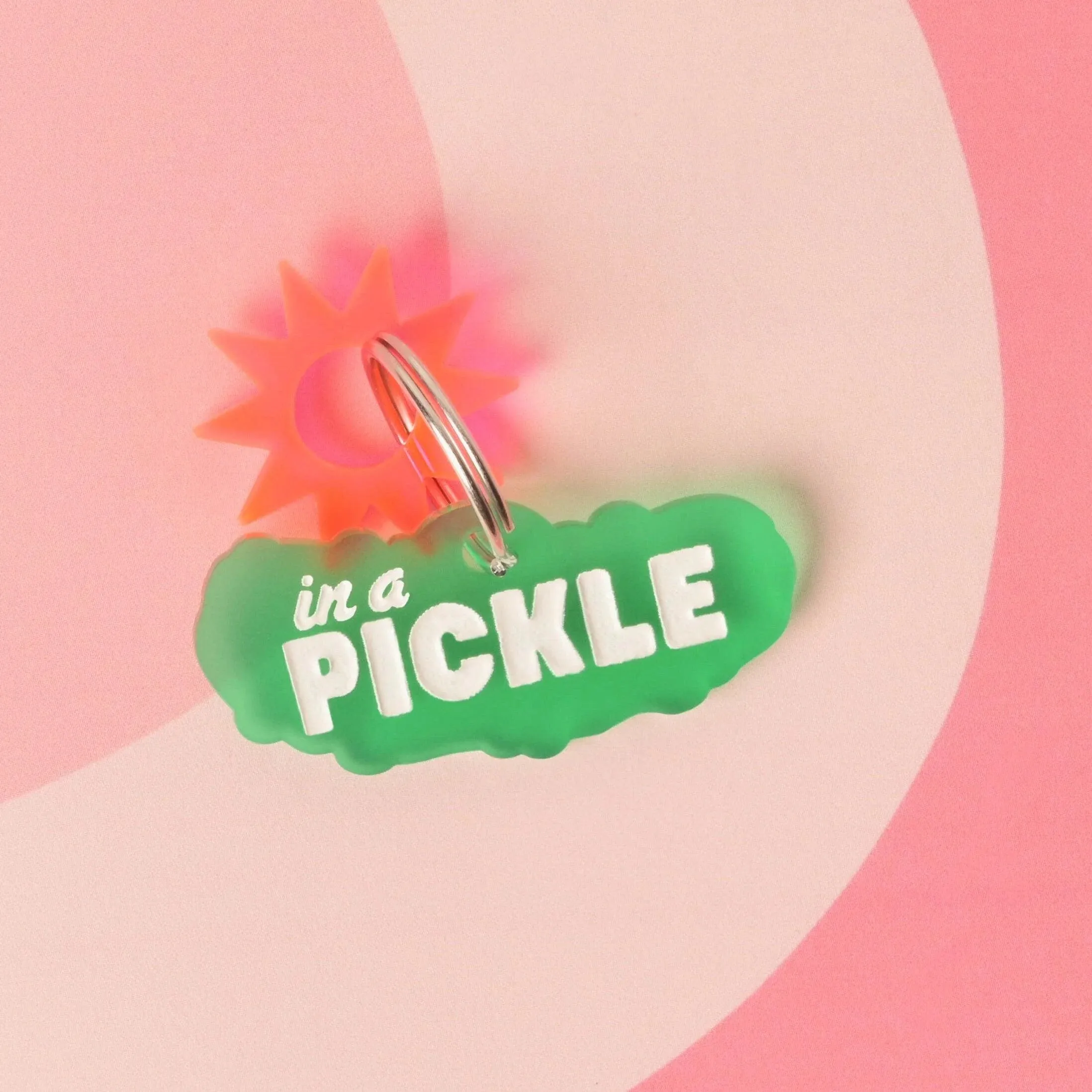 In a Pickle, Pickle Personalized Pet Tag