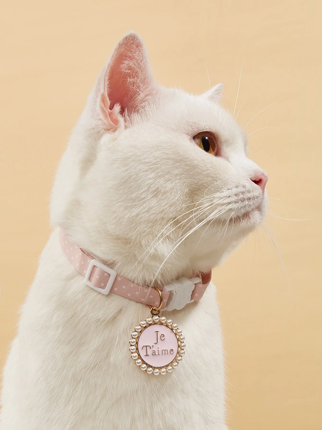 Letter Graphic Pet Collar