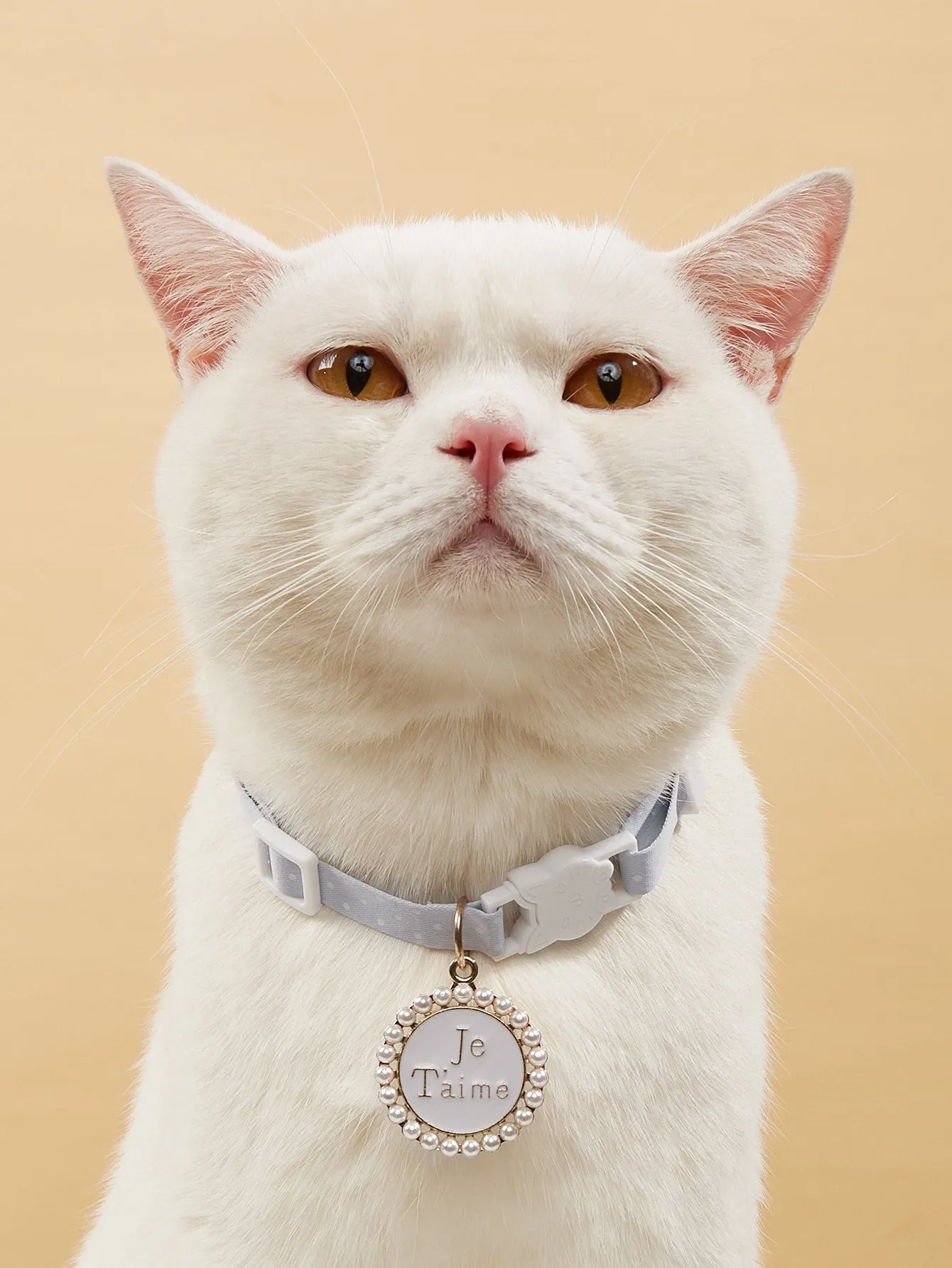 Letter Graphic Pet Collar