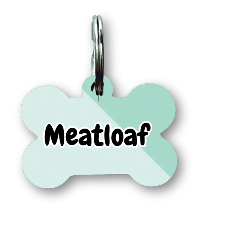 Minimal Mint Bone Dog Tag