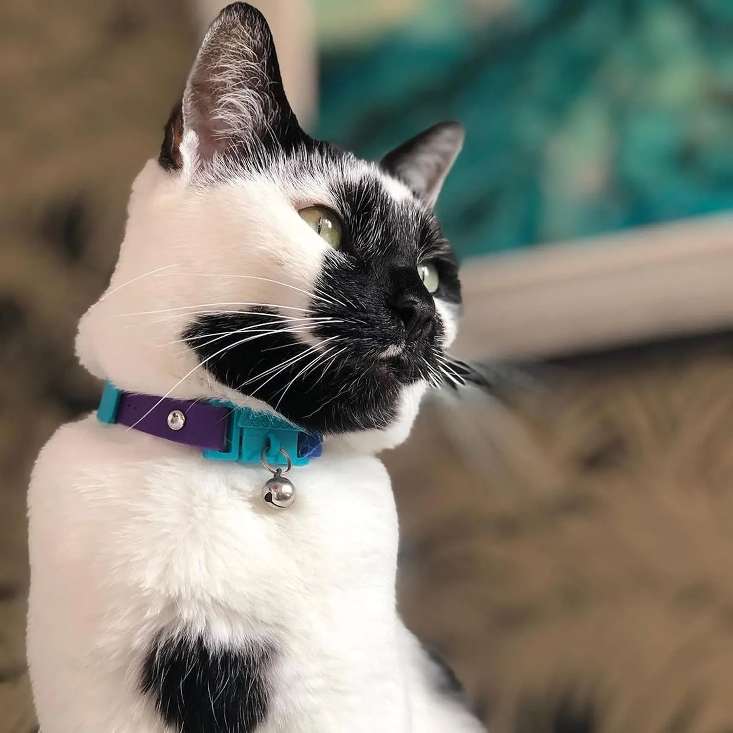 Monte Carlo Cat Collar with Bell. Breakaway Collar. Won't Rub Fur. Lightweight, Soft & Comfy