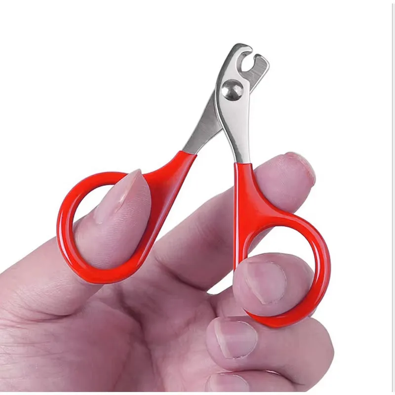 Nail Clippers for Small Dog