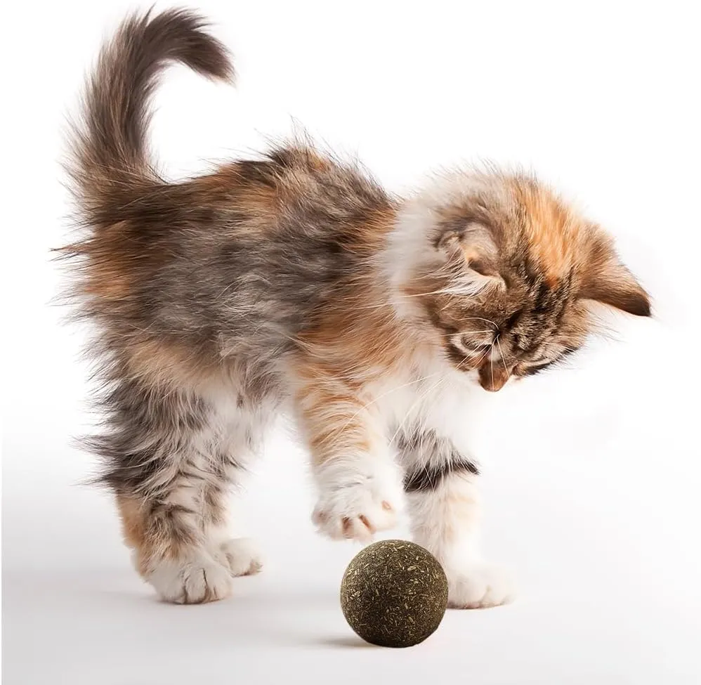 Natural Catnip Toys for Indoor Cats Interactive Cat Nip Balls, 5Pcs, 2 Catnip, 2 Silvervine, and 1 Gall Fruit Ball