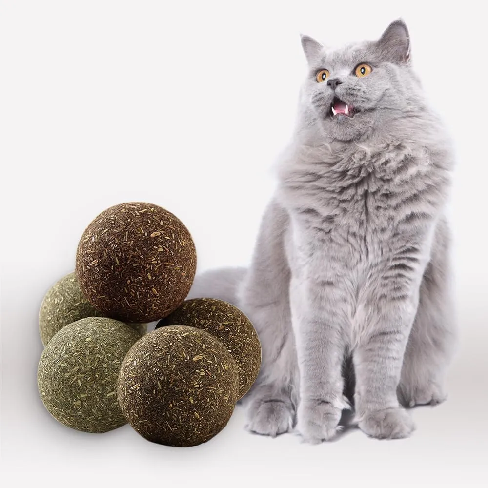 Natural Catnip Toys for Indoor Cats Interactive Cat Nip Balls, 5Pcs, 2 Catnip, 2 Silvervine, and 1 Gall Fruit Ball