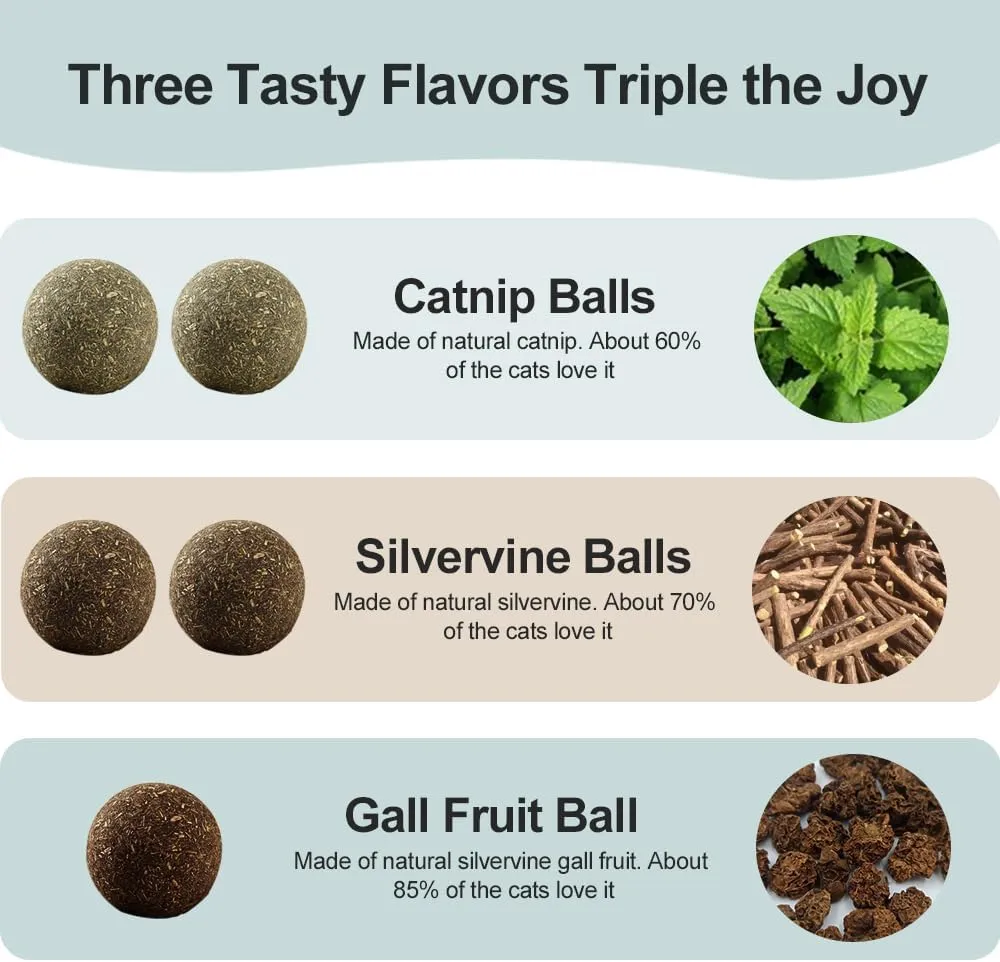 Natural Catnip Toys for Indoor Cats Interactive Cat Nip Balls, 5Pcs, 2 Catnip, 2 Silvervine, and 1 Gall Fruit Ball
