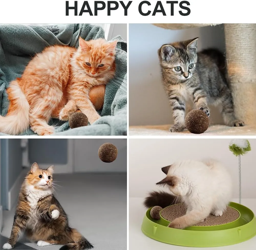 Natural Catnip Toys for Indoor Cats Interactive Cat Nip Balls, 5Pcs, 2 Catnip, 2 Silvervine, and 1 Gall Fruit Ball