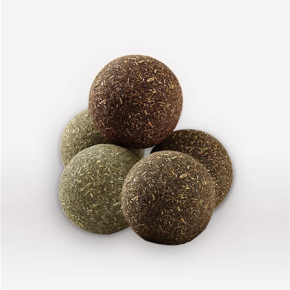 Natural Catnip Toys for Indoor Cats Interactive Cat Nip Balls, 5Pcs, 2 Catnip, 2 Silvervine, and 1 Gall Fruit Ball