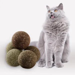 Natural Catnip Toys for Indoor Cats Interactive Cat Nip Balls, 5Pcs, 2 Catnip, 2 Silvervine, and 1 Gall Fruit Ball