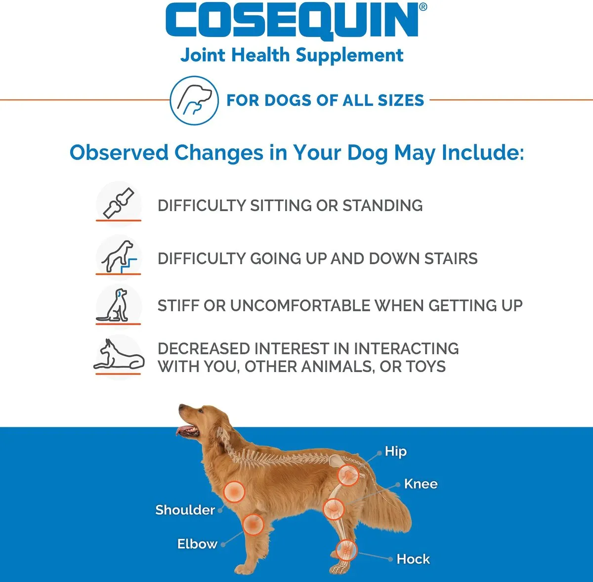 Nutramax Cosequin Senior Joint Health Supplement for Senior Dogs - With Glucosamine, Chondroitin, Omega-3 for Skin and Coat Health and Beta Glucans for Immune Support