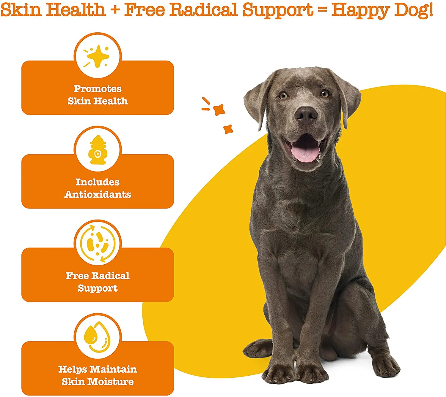 Omega 3 Alaskan Fish Oil Chew Treats for Dogs with AlaskOmega for EPA & DHA Fatty Acids - Itch Free Skin - Hip & Joint Support   Heart & Brain Health