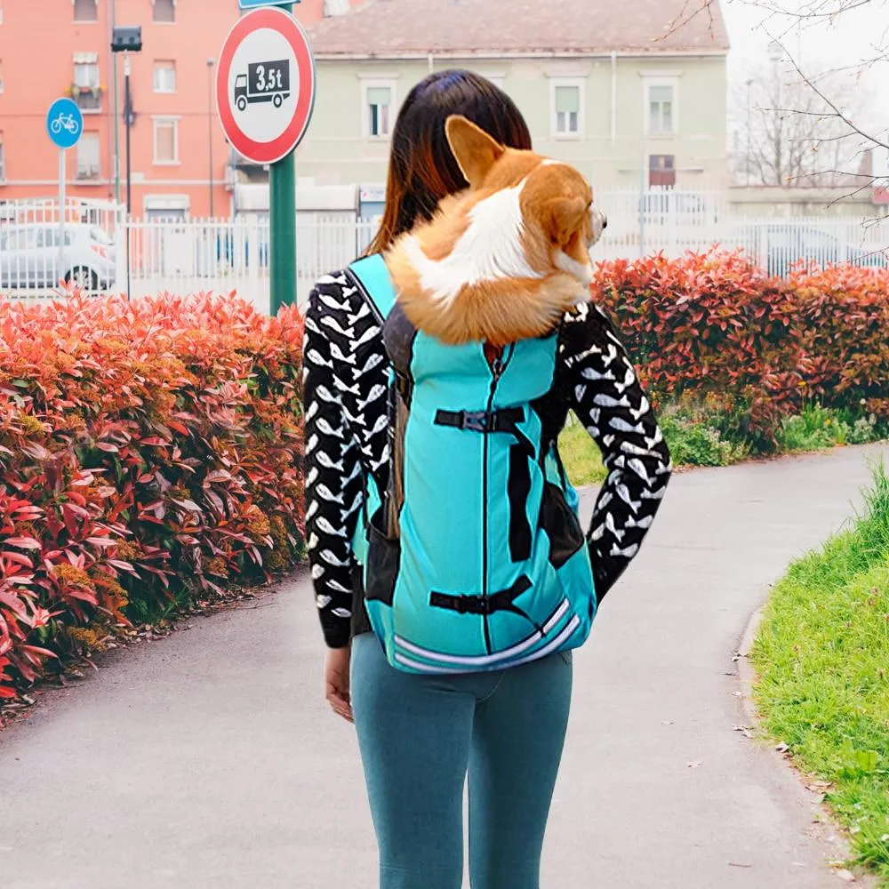 Pet Carrier for Bike