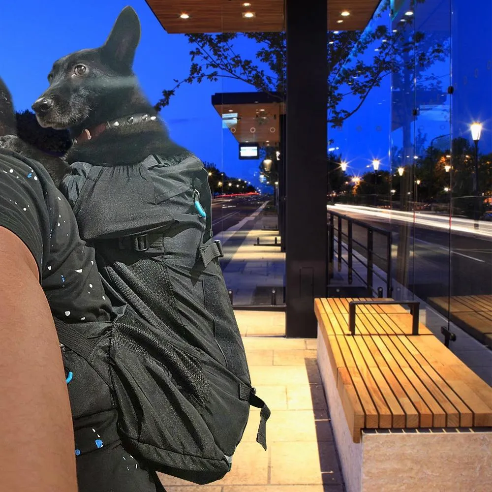 Pet Carrier for Bike