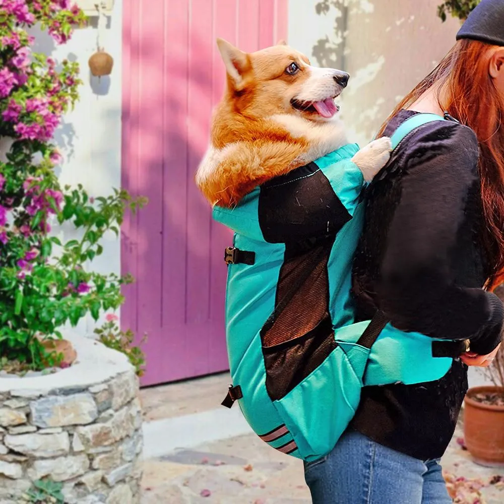 Pet Carrier for Bike