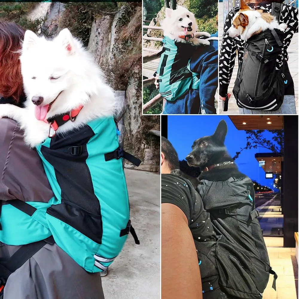 Pet Carrier for Bike